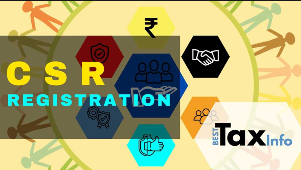 NGO Registration icon